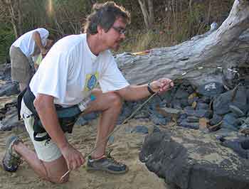 Carlos Frederico Rocha participa de etapa de coleta em campo de lagartos, para medição de temperatura, na Ilha Grande (Foto: Arquivo pessoal)