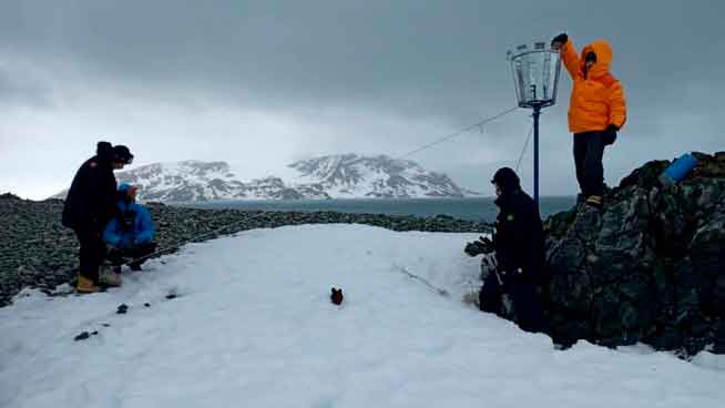 Dr. Sérgio Gonçalves verifica a amostragem realizada pelo Coletor de Neve e Chuva instalado na Península Keller, Antártica