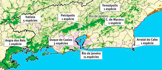 O mapa mostra a distribuição das espécies da tribo Stigmoderini estudadas ao longo do estado do Rio de Janeiro e de seus remanescentes de mata atlântica (fonte: Clayton Portela de Souza).