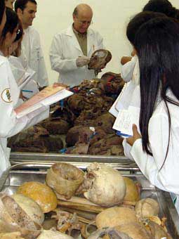 Alunos em aula prática de Anatomia