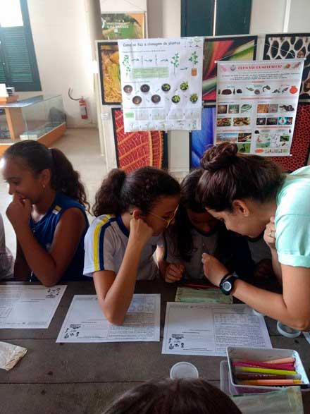 Alunos em atividade durante a oficina sobre clonagem de plantas, no Centro de Visitantes.